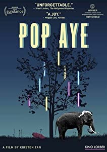 Pop Aye [DVD] [Import](中古品)