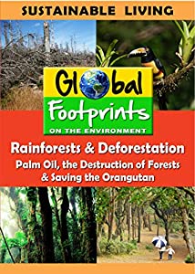 Rainforests &amp; Deforestation, Palm Oil &amp; Saving The Orangutan [DVD](中古品)