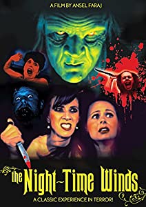 Night Time Winds [ヴィデオディスク](中古品)