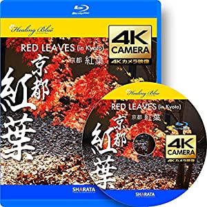4Kカメラ動画・映像【Healing Blueヒーリングブルー】京都・紅葉 RED LEAVES in Kyoto〈動画約40分, approx40min.〉60fps感動の4