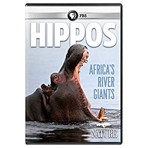 NATURE: Hippos: Africa's River Giants [ヴィデオディスク](中古品)