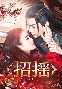招揺 DVD-BOX1(中古品)