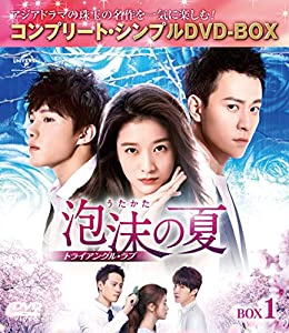 泡沫の夏~トライアングル・ラブ~ BOX1(コンプリート・シンプルDVD‐BOX5,000円シリーズ)(期間限定生産)(中古品)