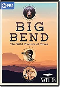 NATURE: Big Bend - The Wild Frontier Of Texas [DVD](中古品)