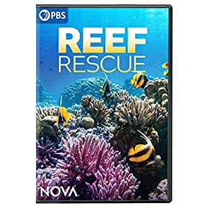 NOVA: Reef Rescue [DVD](中古品)