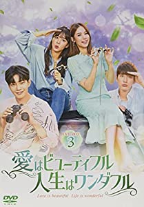 愛はビューティフル、人生はワンダフル DVD-BOX3(中古品)