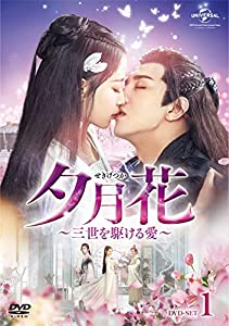 夕月花(せきげつか)~三世を駆ける愛~ DVD-SET1(中古品)