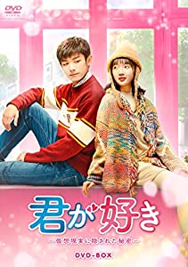 君が好き~仮想現実に隠された秘密~ DVD-BOX(中古品)