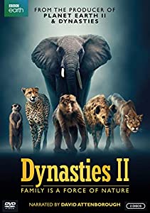 Dynasties II [DVD](中古品)