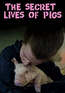 The Secret Lives of Pigs [DVD](中古品)