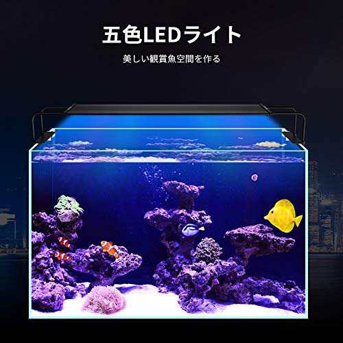 Eayhm 水槽ライト アクアリウムライト 五色led 観賞魚ライト 4265cm水槽対応 水草育成 超薄い 長寿命 省エネ ブラック の通販はau Pay マーケット Cente