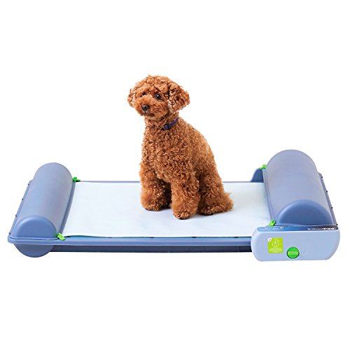 ロール式 自動犬トイレ ブリリアントパッド 本体 しつけ 全自動 犬 トイレ お留守番 旅行 小型犬 中型犬の通販はau Pay マーケット オリエントショップ