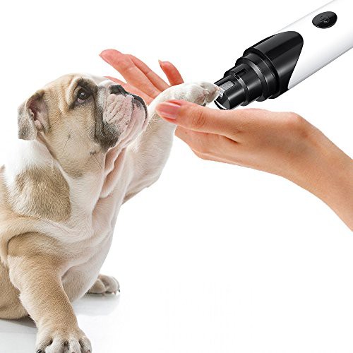 ウォニヤ 電動爪トリマー 犬猫 ペット用 爪磨き 爪切り 爪とぎ ネイルヤスリ ネイルケア 電動 静音設計 騒音なし Usb充電式 小型犬 中型の通販はau Pay マーケット オリエントショップ ウォニヤ 電動爪トリマー 犬猫 ペット用 爪磨き 爪切り 爪とぎ ネイルヤスリ ネイルケア 電動 静音設計 騒音なし Usb充電式 小型犬 中型の通販はau Pay マーケット オリエントショップ