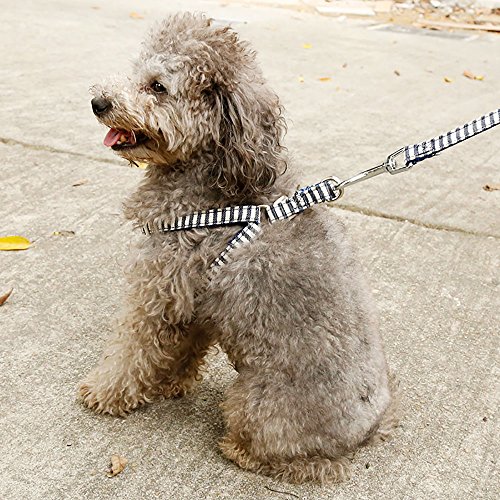 犬用ハーネス 犬用胴輪リード付き オシャレ横紋 中型犬 小型犬 ハーネス リード 調節可能 S ブルー の通販はau Pay マーケット オリエントショップ