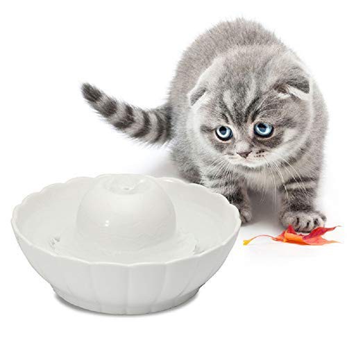 Molovet ペット自動給水器 循環式自動給水器 中小型犬 猫用 水飲み器 噴水 電動 給水機 陶器 超静音の通販はau Pay マーケット オリエントショップ Molovet ペット自動給水器 循環式自動給水器 中小型犬 猫用 水飲み器 噴水 電動 給水機 陶器 超静音の通販はau Pay マーケット オリエントショップ