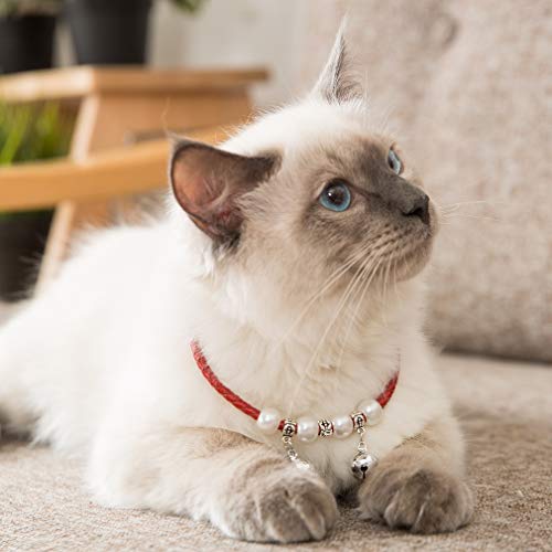 Hipidog 子猫 首輪 鈴付き 4枚の真珠付き かわいい 首飾り レザー製 小型猫用 レッド サイズ Sの通販はau Pay マーケット オリエントショップ