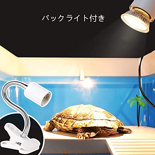 商品名qwaskj カメ ケージ 飼育ケース 亀 浮島 多機能 水ポンプ 日なたぼっこ台 水槽 楽園 フェンス 付き ライト 水作 カメ島 爬虫類ケーの通販はau Pay マーケット オリエントショップ