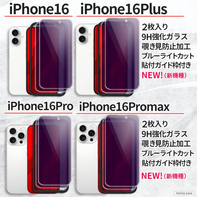2枚入 ガイド枠付 覗き見防止 ブルーライトカット iPhone SE SE2