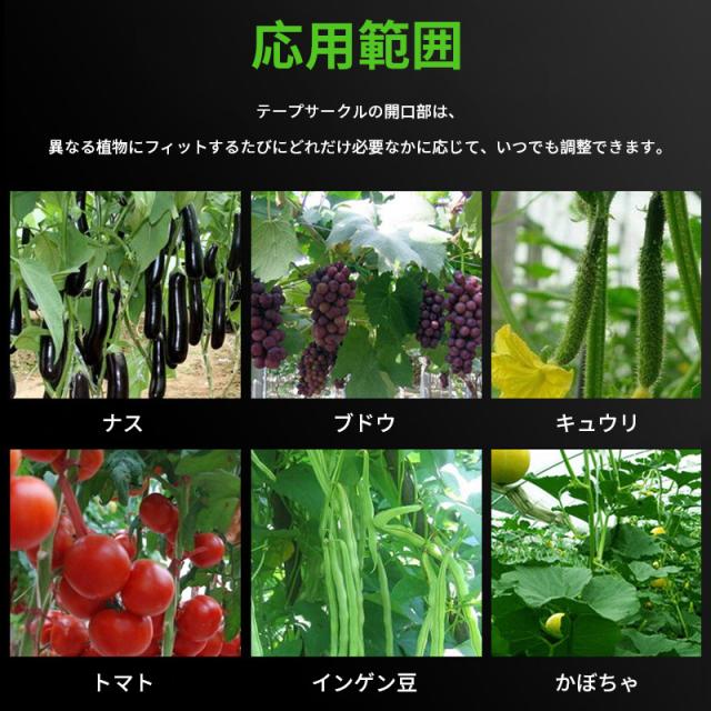 農業用 植物結束機 きゅうり なす ぶどう ガーデン キウイなどの誘引 テープツール トマト 園芸用 園芸用品 枝固定工具 植物誘引機 片手操作 結束器 荷締機 誘引結束機 農業用品 野菜誘引 完全送料無料 植物誘引機