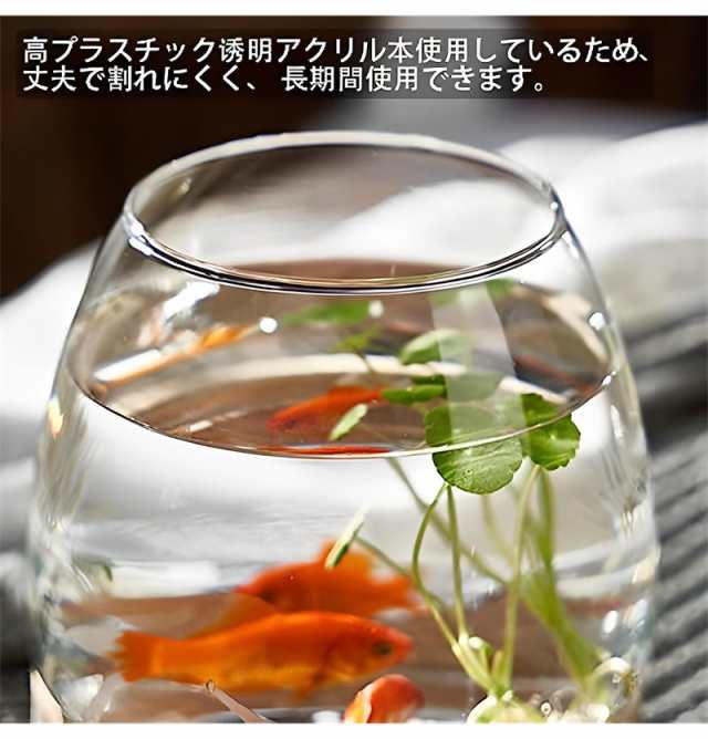 金魚鉢 丸型金魚鉢 水槽 オールインワン水槽 飼育水槽 ガラス メダカ