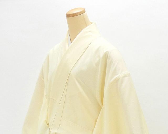 夏物 訪問着 新品仕立済 正絹 夏物 ぼかし模様 絽訪問着 新品 仕立て上がり