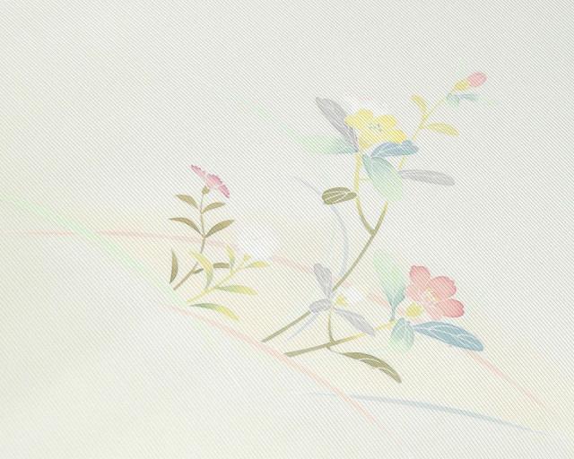 夏物 付下げ 反物 正絹 五泉 絽 花模様 付下げ訪問着 丹後ちりめん