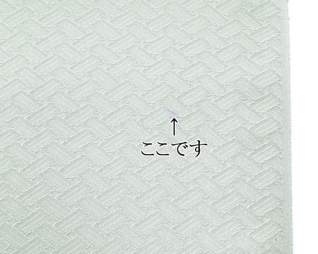 色無地 新品 正絹 加賀友禅 柿本市郎鑑修 小難あり 丹後ちりめん 藍白