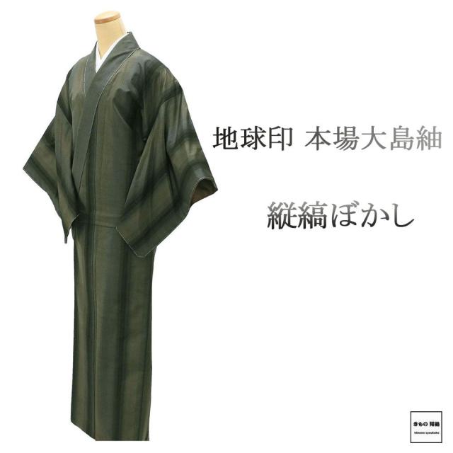 紬 未使用 正絹 地球印 本場大島紬 縦縞 ぼかし 身丈160.5cm 裄丈64.5cm 未着用 美品 新古品 未使用品 着物 カジュアル 街着 d4067