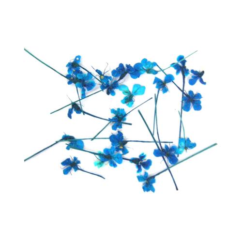 ドライフラワー ブルー p ネイルアート アートアクセサリー ネイルパーツ 押し花 の通販はau Pay マーケット ネルパラ 春の新色発売中