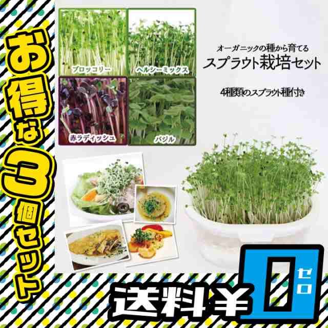 P3 還元 オーガニックの種から育てるスプラウト栽培セット 3個セット 送料無料 4種類のスプラウト種付き 発芽パワー 健康 栄養 Mrの通販はau Pay マーケット セブンパレット Au Pay マーケット店