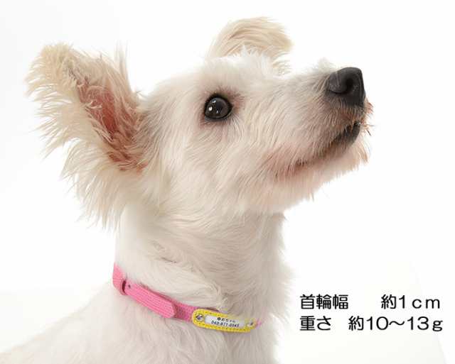 迷子札 ハーネス派や子犬に 1ｃｍ幅の迷子札付きチョーカー（首輪タイプ）ねこ首輪 ネームタグ ドッグタグ 名前入り(maigo-2)の通販はau  PAY マーケット - 犬の首輪屋てるべる