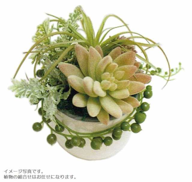 人工観葉植物 アーティフィシャルグリーンアレンジ多肉植物ポット クリアケース入り 直径12cm N10 1228 インテリア 造花の通販はau Pay マーケット ちぐさや