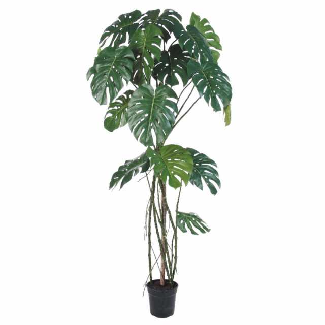 人工観葉植物 モンステラ （ポット付き） グリーン 高さ173cm （P289-a50813) （代引き不可） インテリアグリーン フェイクグリーン