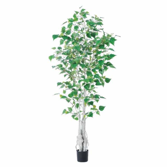 人工観葉植物 バーチツリー （ポット付き） グリーン 高さ155cm （P284-a50868) （代引き不可） インテリアグリーン フェイクグリーンの通販は