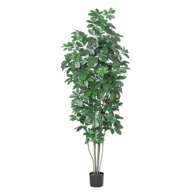 人工観葉植物 シェフレラ （ポット付き） グリーン 高さ180cm （P286-a50899) （代引き不可） インテリアグリーン フェイクグリーン