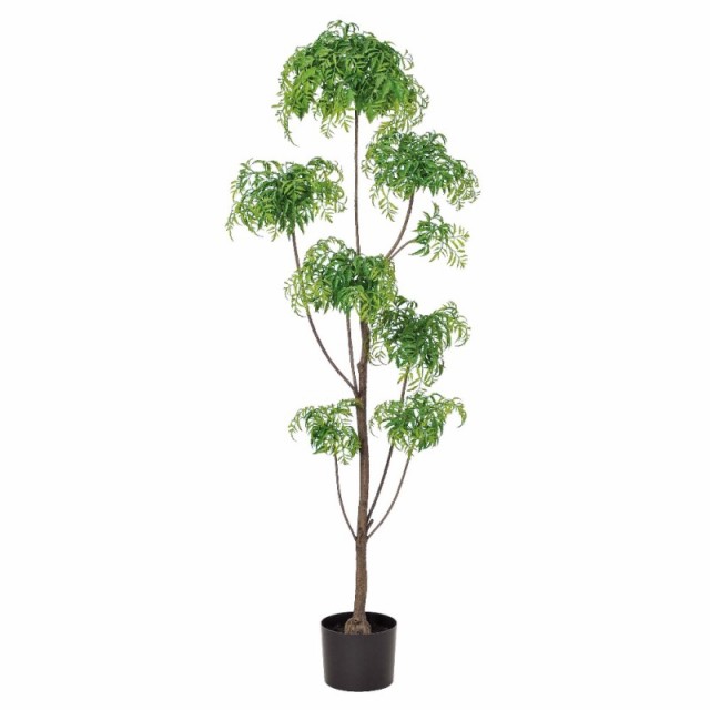 人工観葉植物 アラリア （ポット付き） グリーン 高さ155cm （P295-a50908) （代引き不可） インテリアグリーン フェイクグリーン