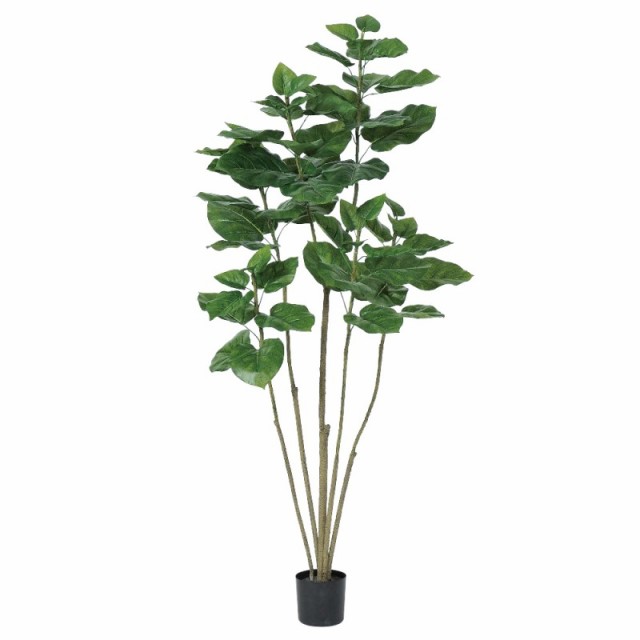 人工観葉植物 ウンベラータ （ポット付き） グリーン 高さ150cm （P277-a50936) （代引き不可） インテリアグリーン