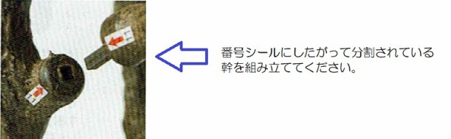 人工観葉植物 オリーブ （ポット付き） オリーブ 高さ240cm （P281-a51019) （代引き不可） インテリアグリーン フェイクグリーン