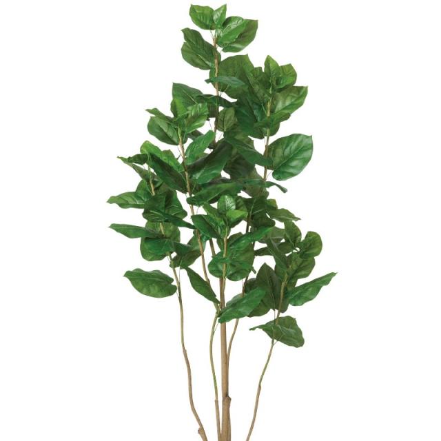 人工観葉植物 ウンベラータ （ポット付き） グリーン 高さ180cm