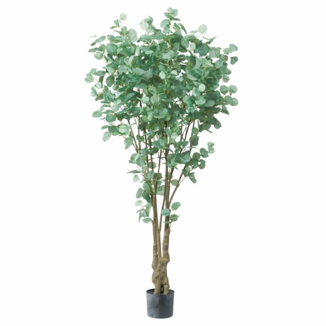 人工観葉植物 ユーカリ （ポット付き） グリーン 高さ180cm （P283-a51041) （代引き不可） インテリアグリーン フェイクグリーン