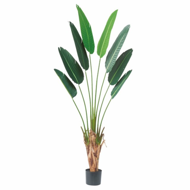 人工観葉植物 トラベルパーム （ポット付き） グリーン 高さ180cm （P290-a51046) （代引き不可） インテリアグリーン フェイクグリーン