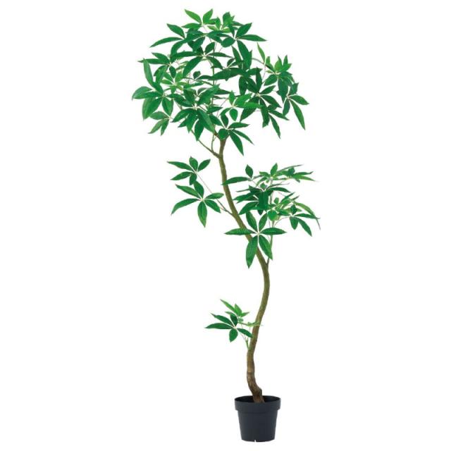 人工観葉植物 パキラ （ポット付き） グリーン 高さ180cm （P275-a51112) （代引き不可） インテリアグリーン フェイクグリーンの通販は 27,495円