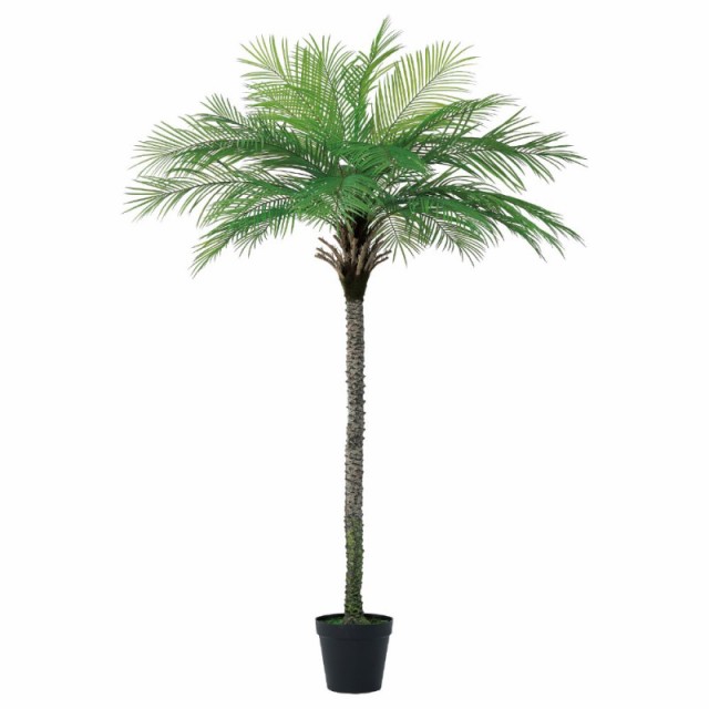 人工観葉植物 パーム （ポット付き） グリーン 高さ220cm （P292-a51120) （代引き不可） インテリアグリーン フェイクグリーン