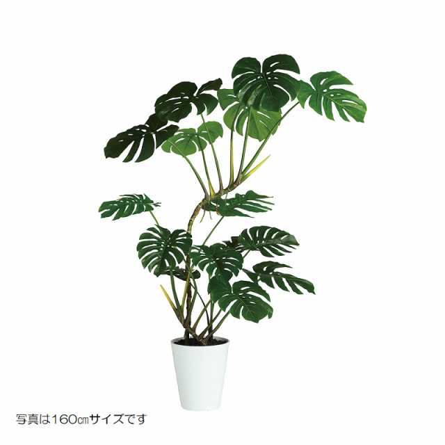 人工観葉植物 ワイルドモンステラ 140cm 高さ140cm （P209-dt91885) （代引き不可） インテリアグリーン フェイクグリーン