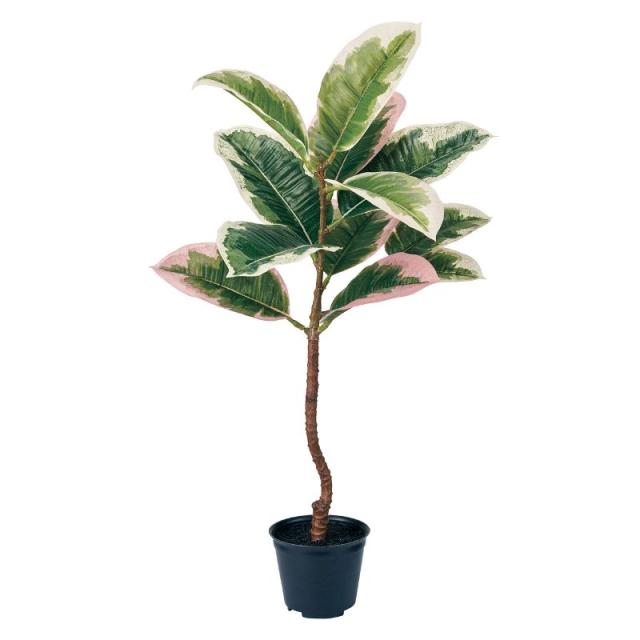人工観葉植物 ゴムの木斑入り ミニポット 高さ50cm （P191-fg1816) （代引き不可） インテリアグリーン フェイクグリーンの通販は