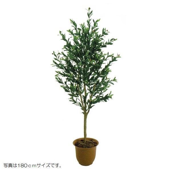 人工観葉植物 オリーブ 150cm 高さ150cm （P207-sk3005) （代引き不可） インテリアグリーン フェイクグリーンの通販は 41,665円