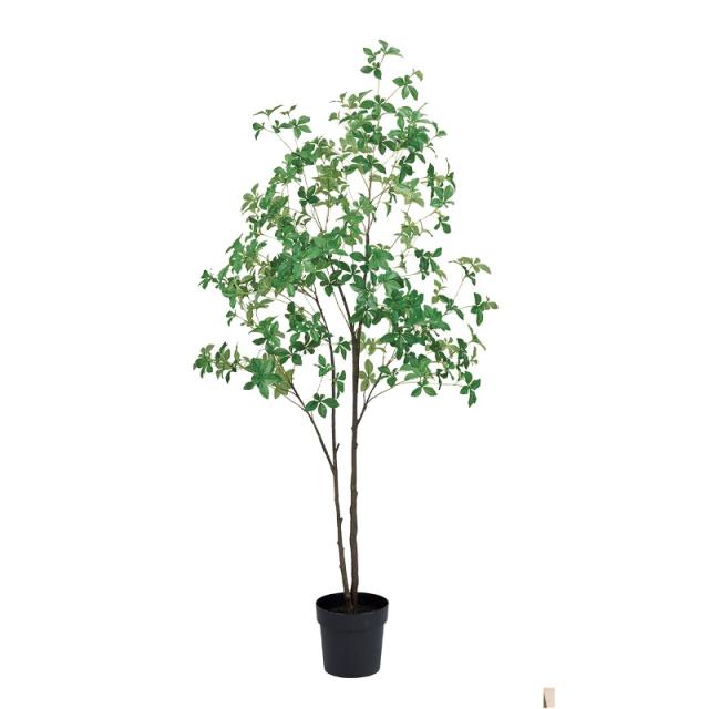 人工観葉植物 ドウダンブランチ ポット 光触媒加工 高さ170cm （P195-zv302255) （代引き不可） インテリアグリーン フェイクグリーンの通販は 40,235円