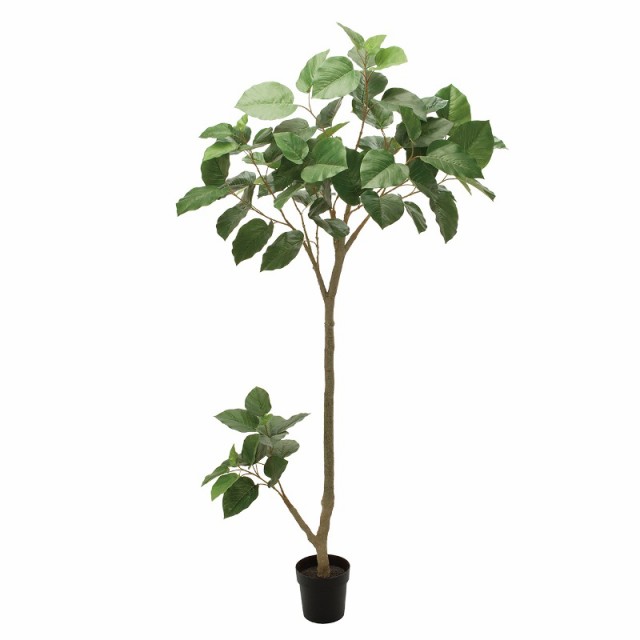 人工観葉植物 ウンベラータグランデ ポット 光触媒加工 高さ210cm （P195-zv307774) （代引き不可） インテリアグリーン フェイクグリー