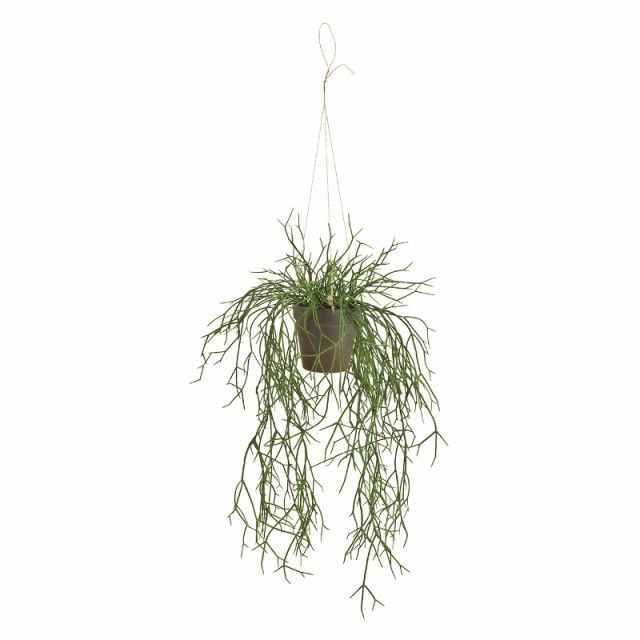 人工観葉植物 リプサリス ハンギングポット 光触媒加工 高さ60cm （P189-zv3900) （代引き不可） インテリアグリーン フェイクグリーン