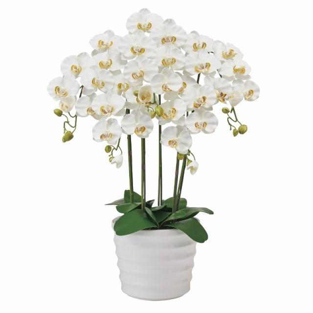 フェイクグリーン ピュアオーキッド5本立（ファレノ） クリームホワイト 光触媒加工 高さ72cm （P217-zv6500w-1) （代引き不可） 造花 胡蝶蘭の通販は 22,792円
